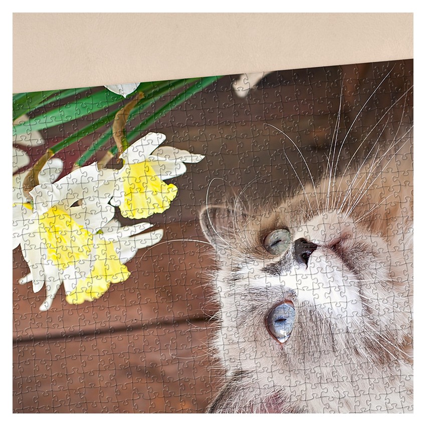 puzzle personnalisé pas cher