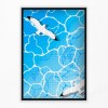gull puzzle