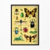 96-piece insect puzzle
